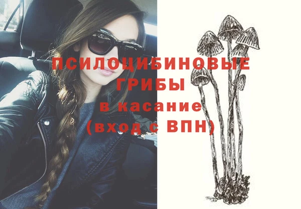 соль ск Армянск
